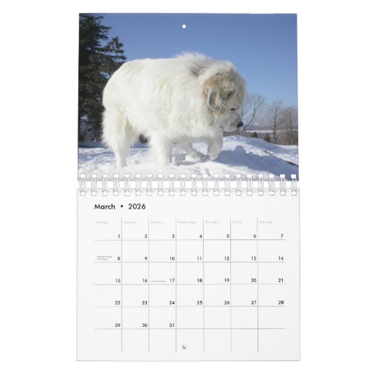 Great Pyrenees Calendar Kalender (Mar 2026)