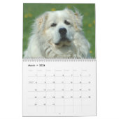 Great Pyrenees Calendar Kalender (Mar 2026)
