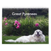 Great Pyrenees Calendar Kalender (Hoes)