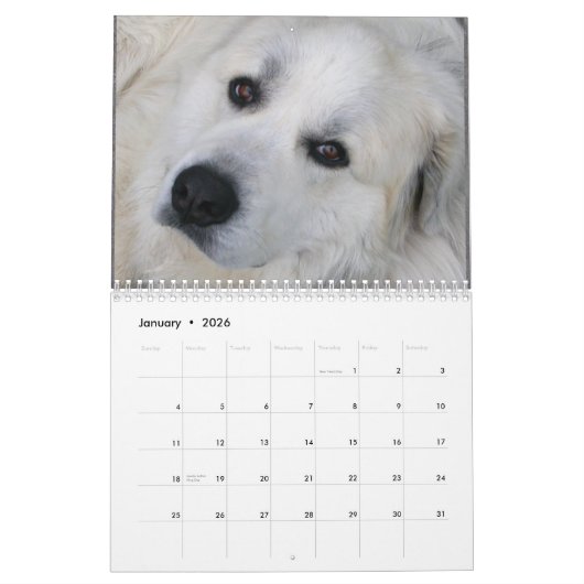 Great Pyrenees Calendar Kalender (Jan 2026)