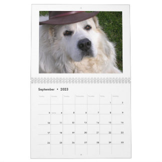 Great Pyrenees Calendar Kalender