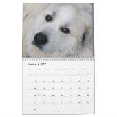 Great Pyrenees Calendar Kalender (Jan 2027)