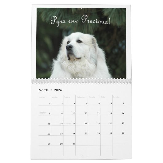 Great Pyrenees Calendar Kalender (Mar 2026)