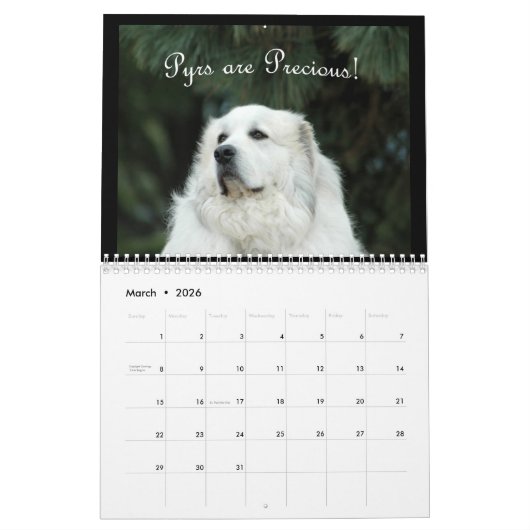 Great Pyrenees Calendar Kalender (Mar 2026)