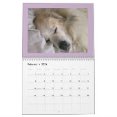 Great Pyrenees Calendar Kalender (Feb 2026)