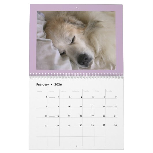 Great Pyrenees Calendar Kalender (Feb 2026)