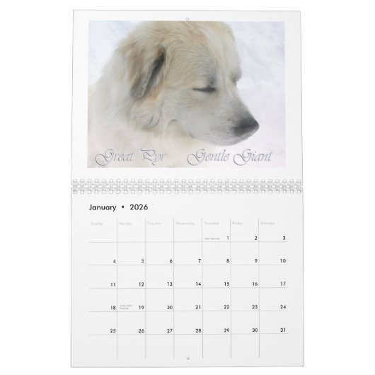 Great Pyrenees Calendar Kalender (Jan 2026)