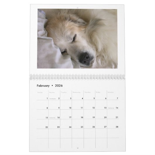 Great Pyrenees Calendar Kalender (Feb 2026)