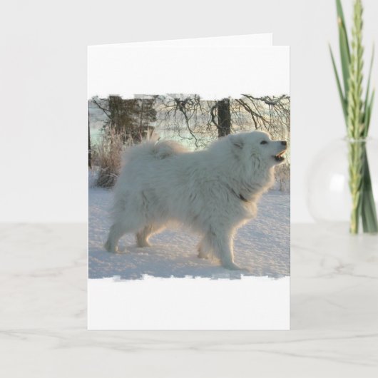 Great Pyrenees Dog Wenskaart Kaart (Voorkant)