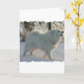 Great Pyrenees Dog Wenskaart Kaart (Gele Bloem)