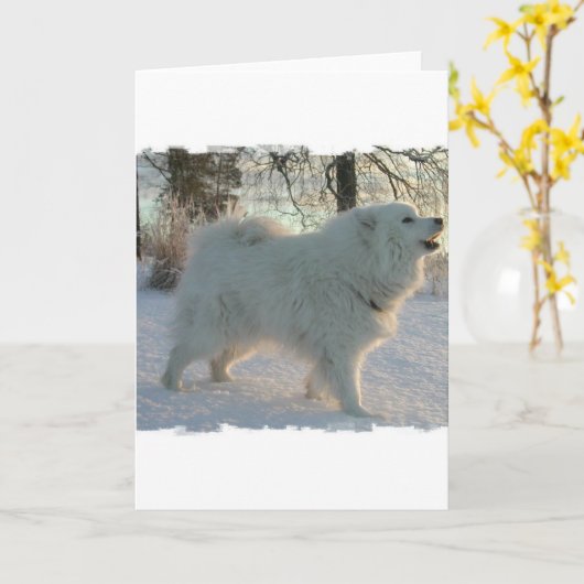 Great Pyrenees Dog Wenskaart Kaart (Gele Bloem)