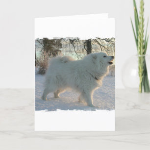 Great Pyrenees Dog Wenskaart Kaart