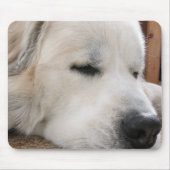 GREAT PYRENEES MOUSEPAD MUISMAT (Voorkant)