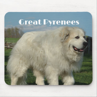 Great Pyrenees Muismat