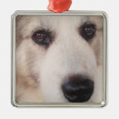 Great Pyrenees Ornament (Voorkant)
