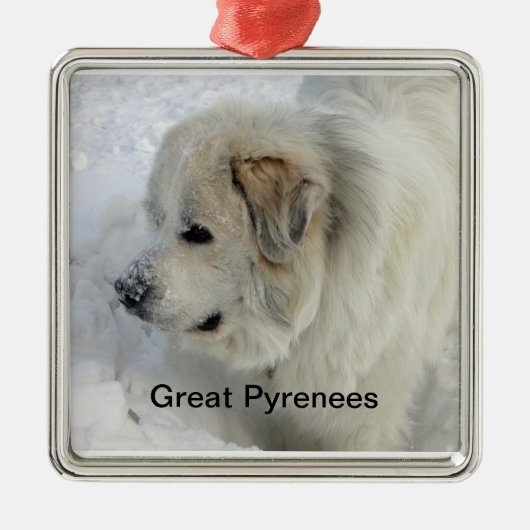 Great Pyrenees Ornament (Voorkant)
