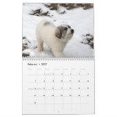 Great Pyrenees Puppy Calendar Kalender (Feb 2027)