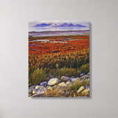 Great Salt Lake Canvas Afdruk (Voorkant)