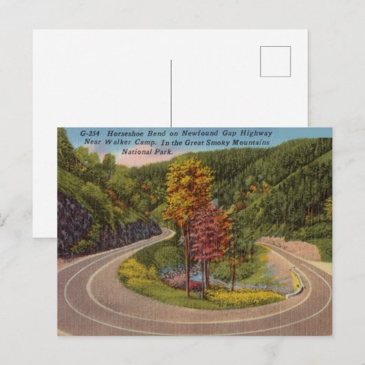  Great Smokey Mountains North Carolina Bend Briefkaart (Voorkant / Achterkant)