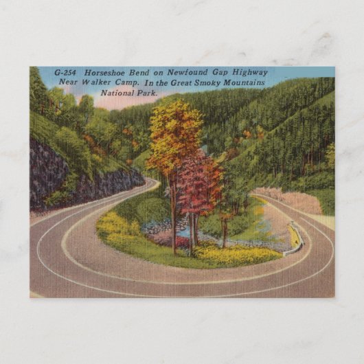 Great Smokey Mountains North Carolina Bend Briefkaart (Voorkant)