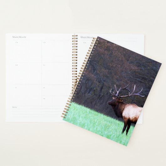 Great Smoky Mountain Elk 2026 Planner (Display)