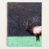 Great Smoky Mountain Elk 2026 Planner (Voorkant)