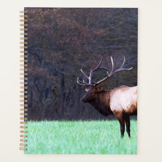 Great Smoky Mountain Elk 2026 Planner (Voorkant)