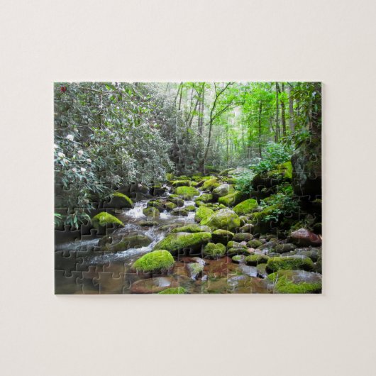 Great Smoky Mountain Tennessee Legpuzzel (Horizontaal)