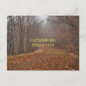 Great Smoky Mountains Gatlinburg, Tennessee Briefkaart (Voorkant)