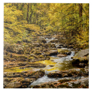 Great Smoky Mountains National Park. Big Creek Tegeltje