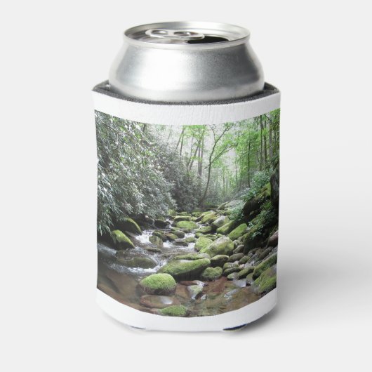 Great Smoky Mountains National Park Blikjeskoeler (Blikje Achterkant)