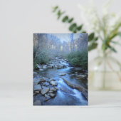 Great Smoky Mountains National Park Briefkaart (Staand voorkant)