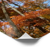 Great Smoky Mountains National Park Herfstbladeren Perfect Poster (Hoek)