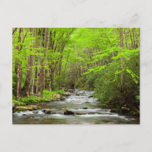 Great Smoky Mountains National Park North Carolina Briefkaart