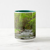 Great Smoky Mountains National Park North Carolina Mok (Midden)