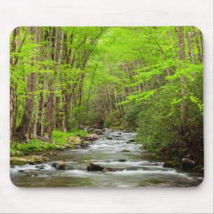 Great Smoky Mountains National Park North Carolina Muismat