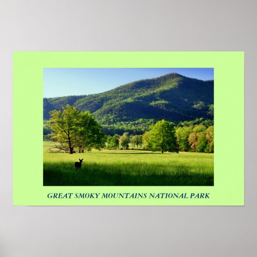 Great Smoky Mountains National Park Photo Poster (Voorkant)