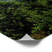 Great Smoky Mountains National Park Poster (Hoek)