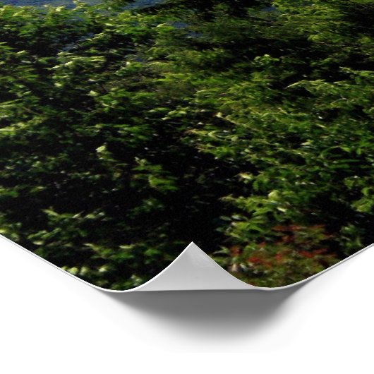 Great Smoky Mountains National Park Poster (Hoek)