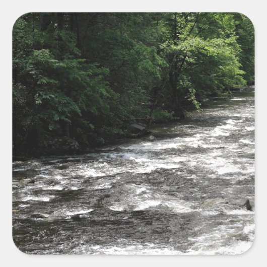 Great Smoky Mountains National Park Vierkante Sticker (Voorkant)