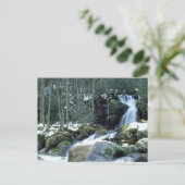 Great Smoky Mountains, NC Briefkaart (Staand voorkant)