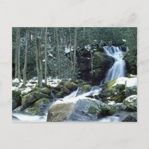 Great Smoky Mountains, NC Briefkaart