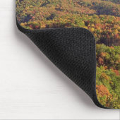 Great Smoky Mountains NP, Tennessee, VS Muismat (Hoek)