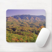 Great Smoky Mountains NP, Tennessee, VS Muismat (Met muis)