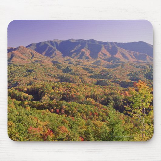 Great Smoky Mountains NP, Tennessee, VS Muismat (Voorkant)