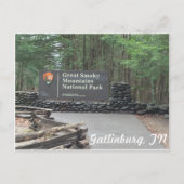 Great Smoky Mountains Postcard Briefkaart (Voorkant)