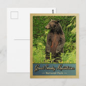 Great Smoky Mountains Postcard National Park Bear Briefkaart (Voorkant / Achterkant)