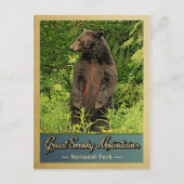 Great Smoky Mountains Postcard National Park Bear Briefkaart (Voorkant)