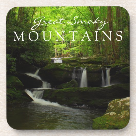 Great Smoky Mountains Stream Watefall Tremont Bier Onderzetter (Voorkant)