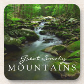 Great Smoky Mountains Stream Watefall Tremont Bier Onderzetter (Voorkant)